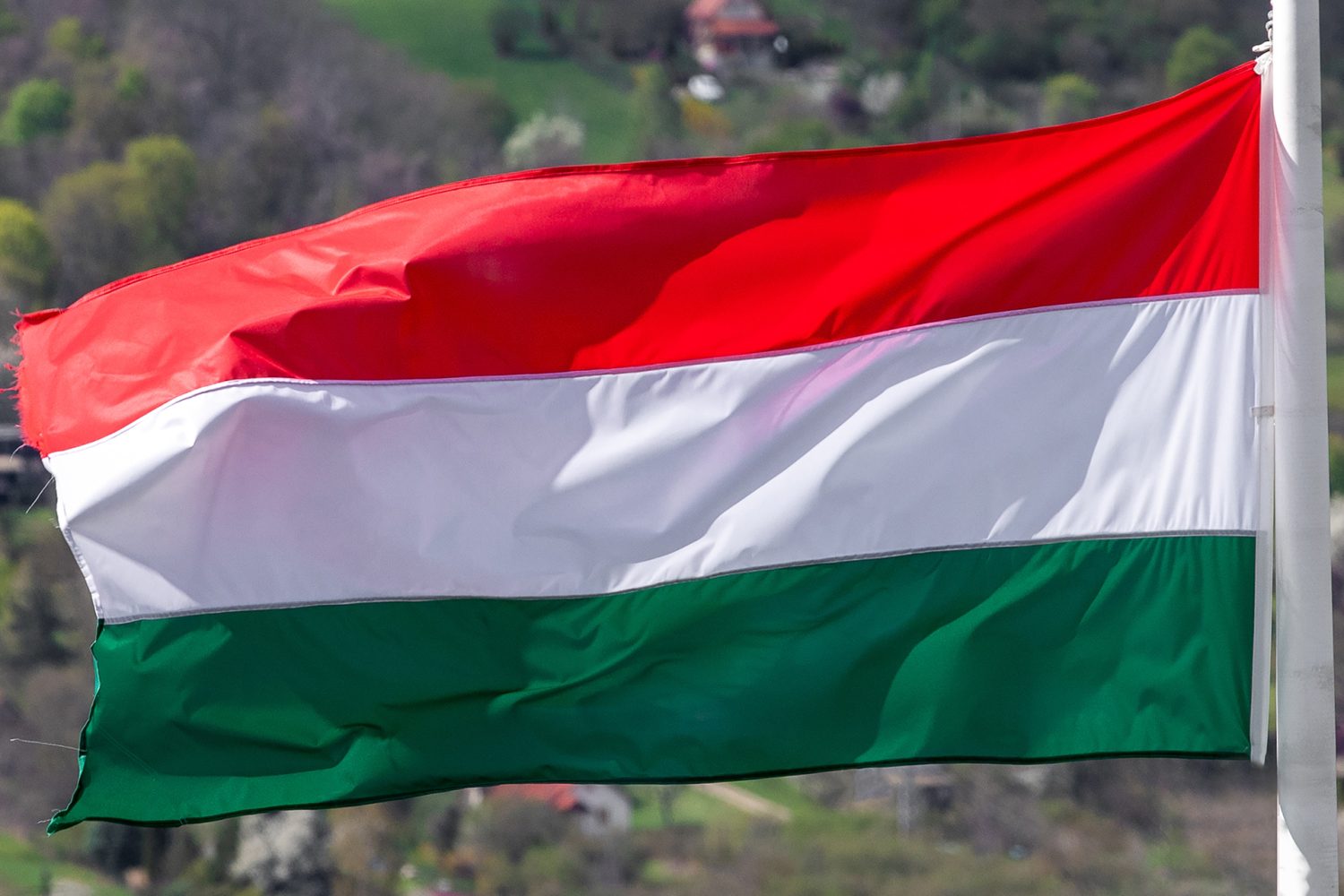 Immigration to Hungary for Permanent Residence