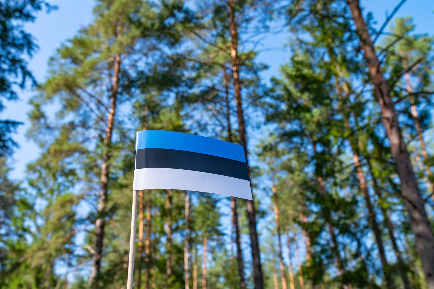 Permanent Residence in Estonia: How to Obtain Long-Term Residency in 2025